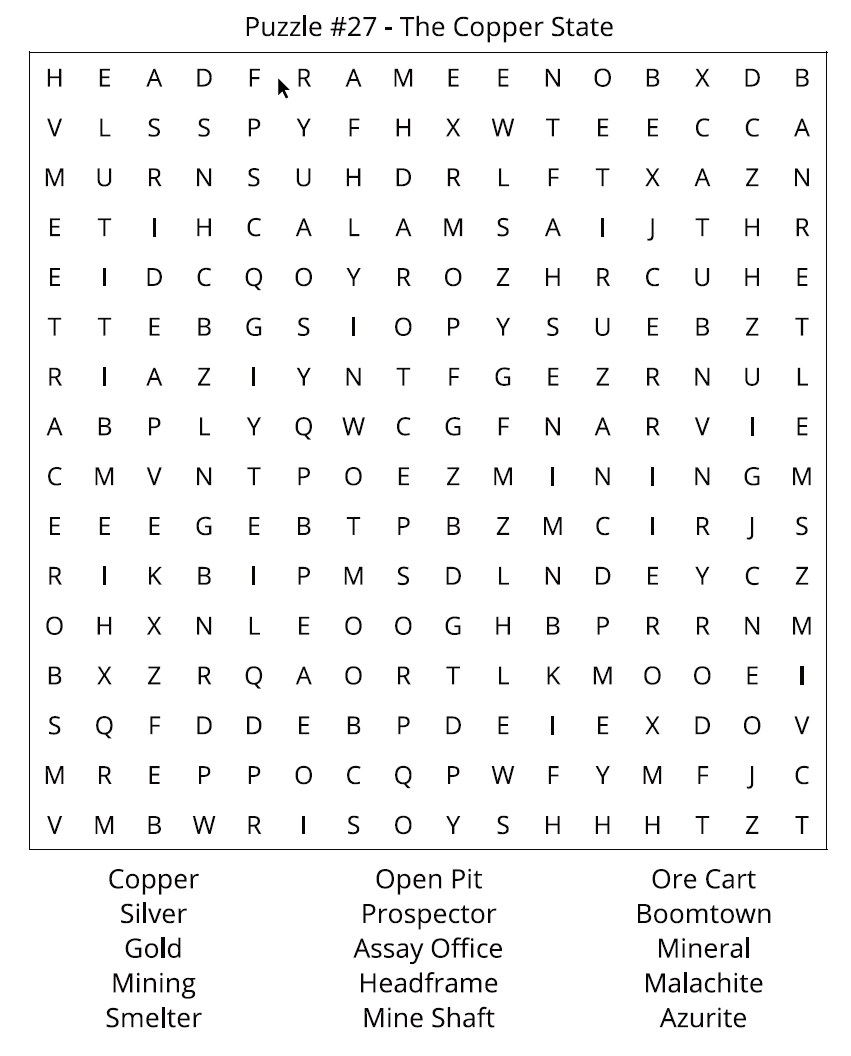 Arizona Word Search Puzzle - Image 3