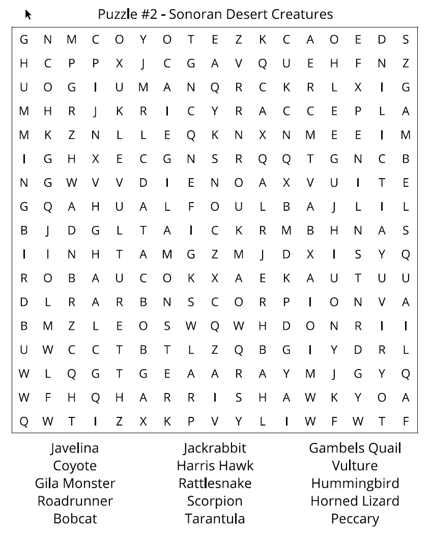 Arizona Word Search Puzzle - Image 2