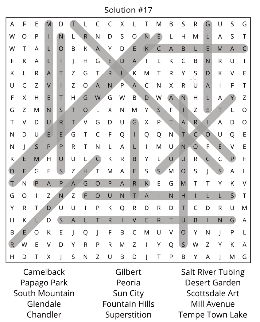 Arizona Word Search Puzzle - Image 4